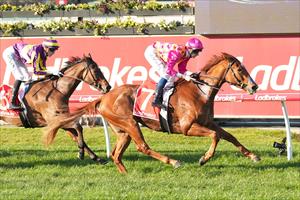 Sparkling Cranbourne August 2024 Sparkling Cranbourne August 2024